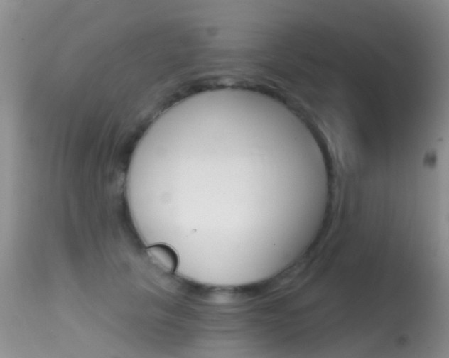 X0000114690657200910211055