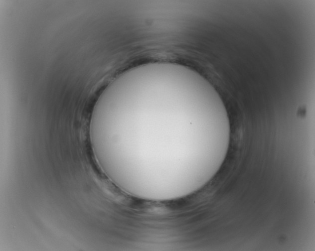 X0000114690658200910211055