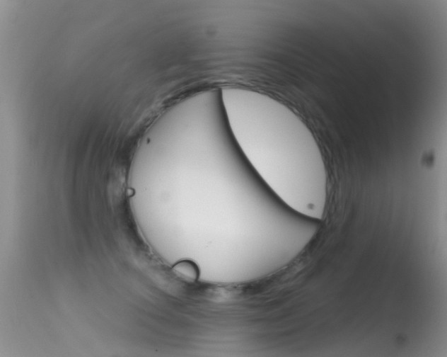 X0000114690660200910211055