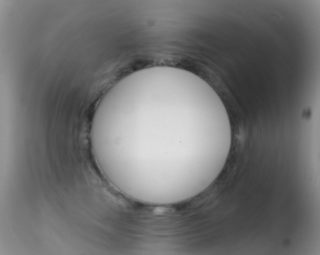X0000114690663200910211055