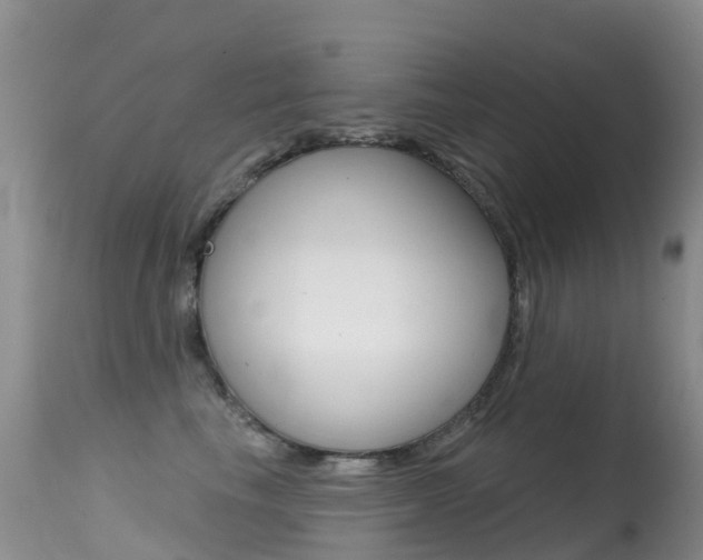 X0000114690665200910211055