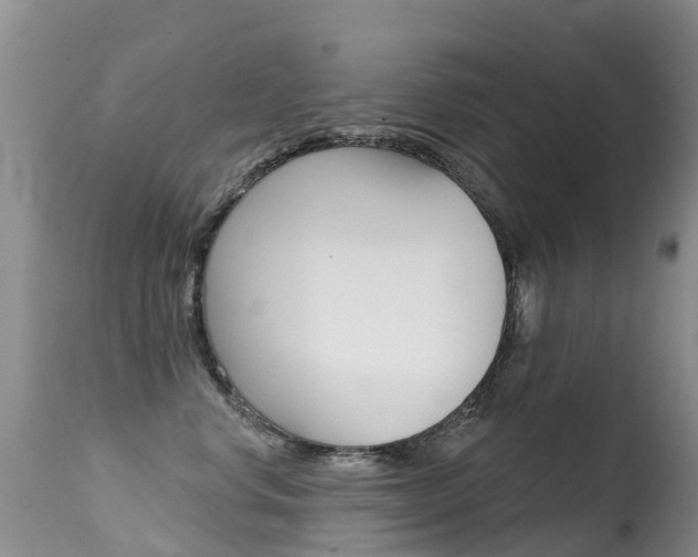 X0000114690668200910211055