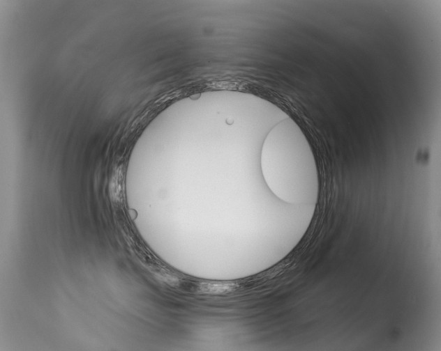X0000114690671200910211055