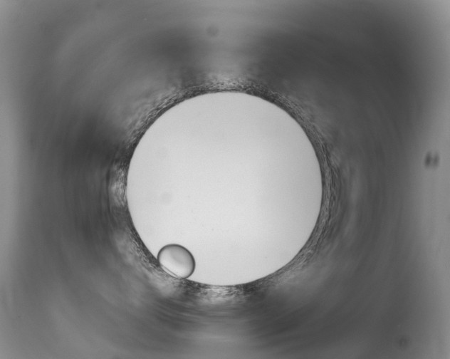 X0000114690672200910211055