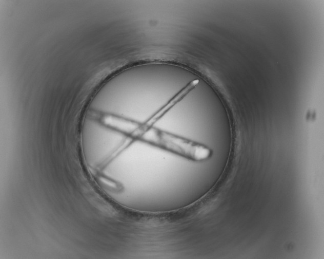 X0000114690673200910211055