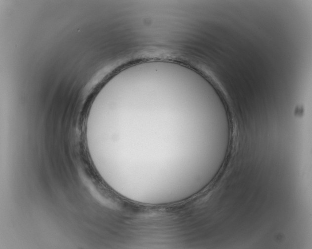 X0000114690674200910211055