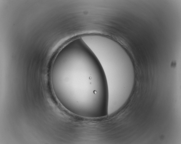 X0000114690676200910211055