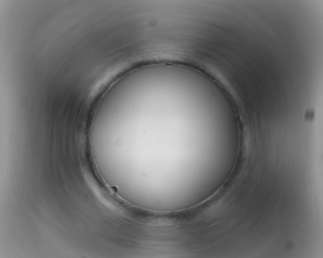 X0000114690677200910211055