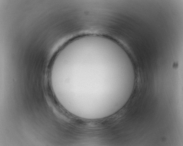 X0000114690678200910211055