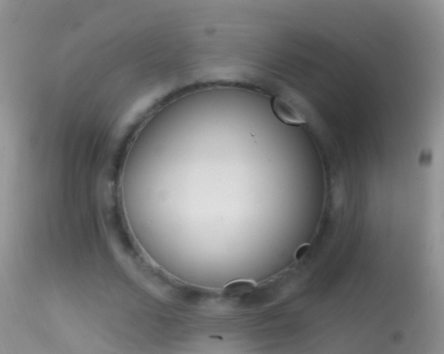 X0000114690680200910211055