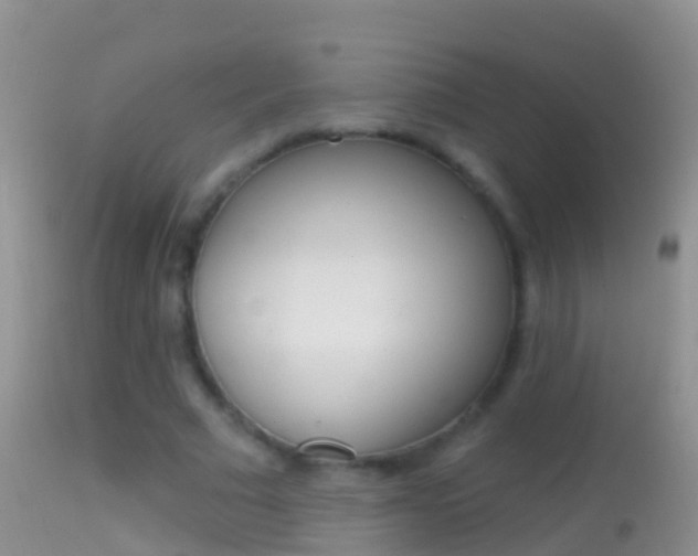 X0000114690681200910211055