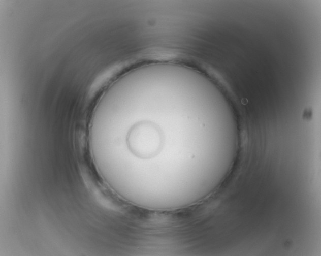 X0000114690682200910211055