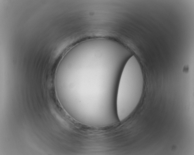 X0000114690683200910211055