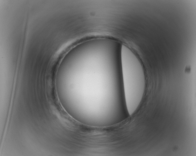 X0000114690684200910211055