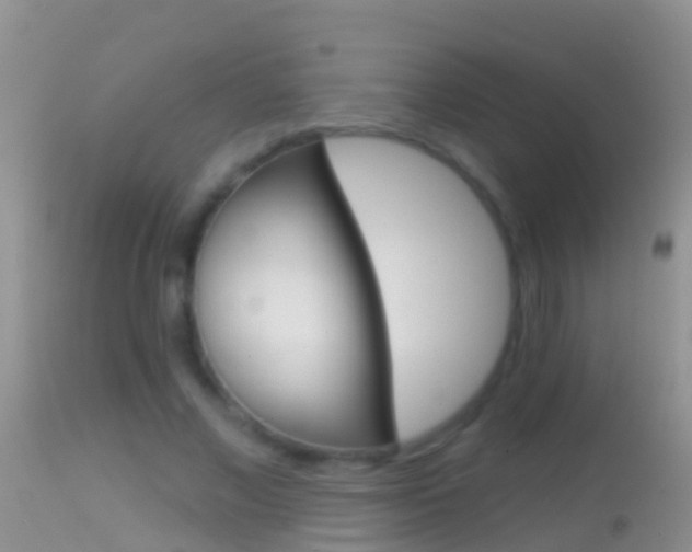 X0000114690685200910211055