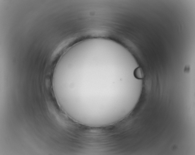 X0000114690686200910211055