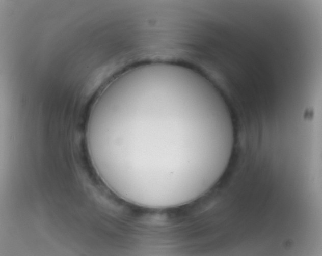 X0000114690687200910211054
