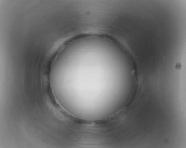 X0000114690688200910211054