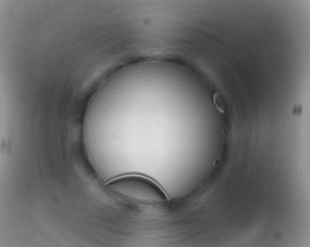 X0000114690689200910211054