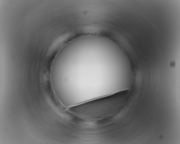 X0000114690692200910211054