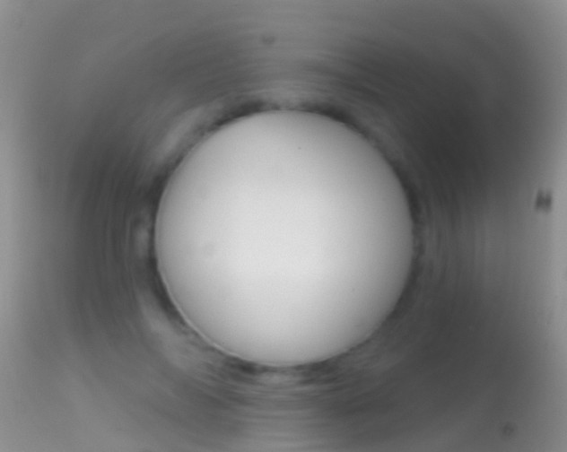 X0000114690694200910211054