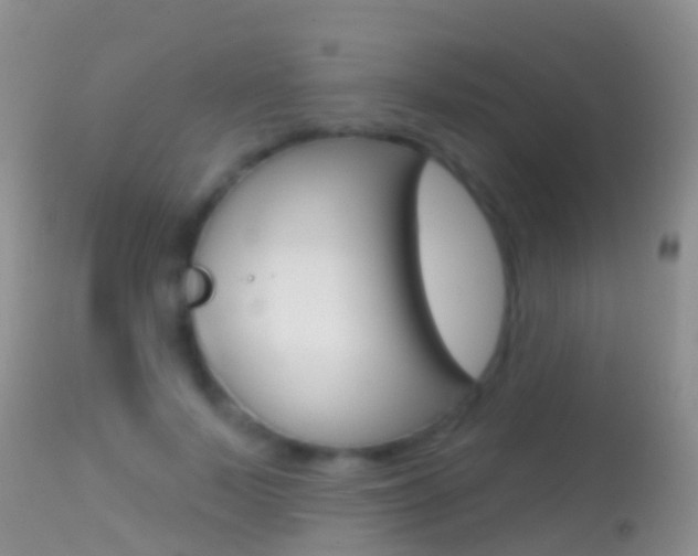 X0000114690695200910211054