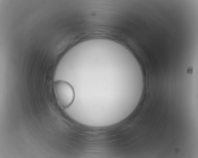 X0000114690696200910211054