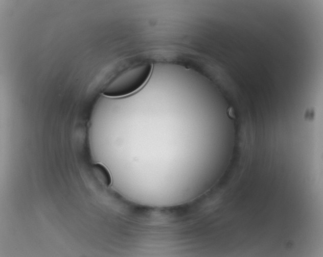 X0000114690697200910211054