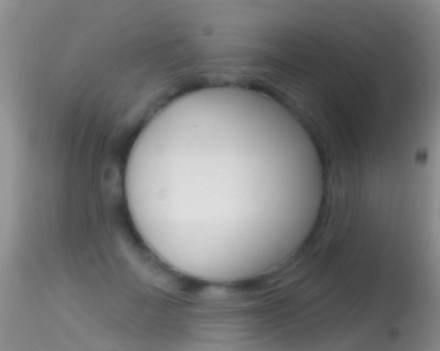 X0000114690699200910211054