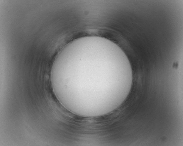 X0000114690702200910211054