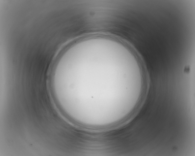 X0000114690705200910211054
