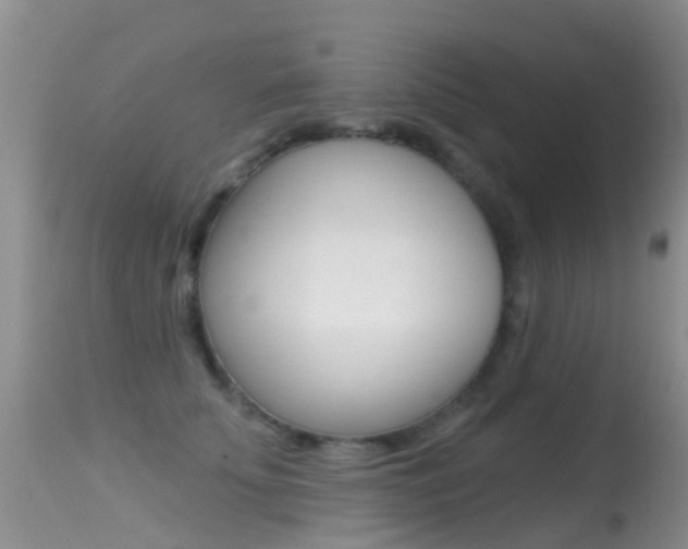 X0000114690707200910211054