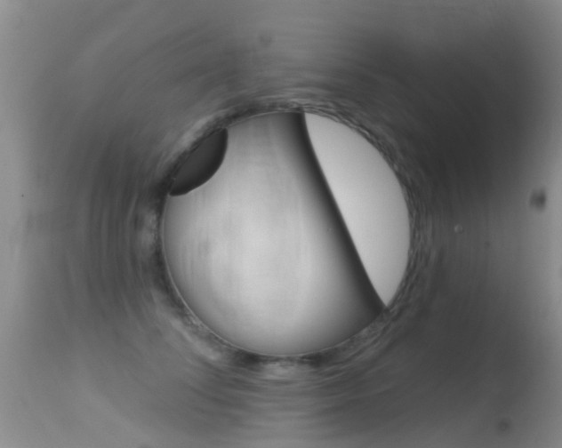 X0000114690708200910211054