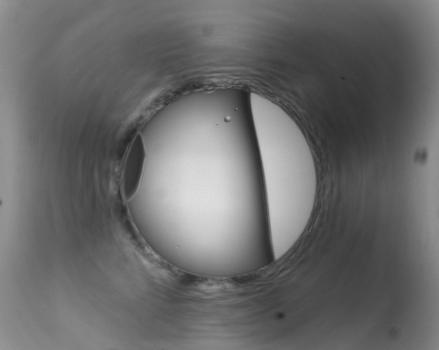 X0000114690712200910211054
