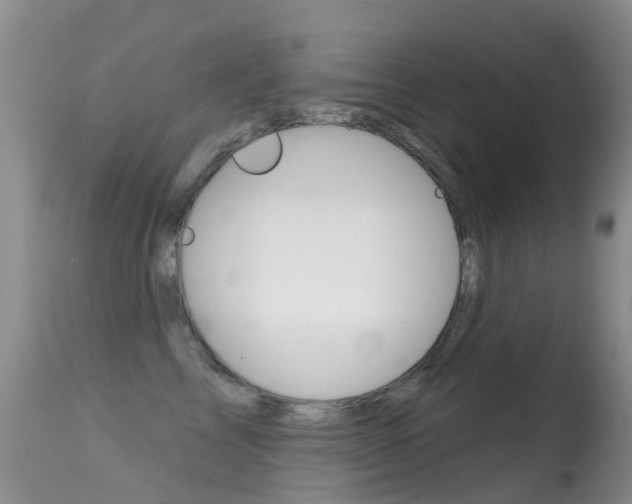 X0000114690713200910211054