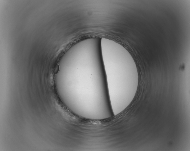 X0000114690715200910211054