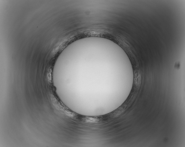 X0000114690718200910211054