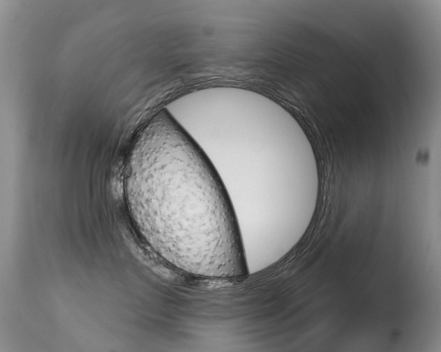 X0000114690719200910211054