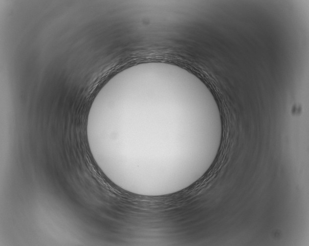 X0000114690720200910211054