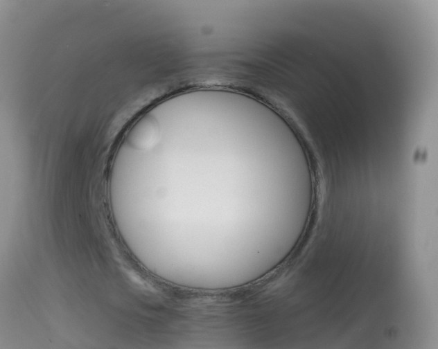 X0000114690721200910211053