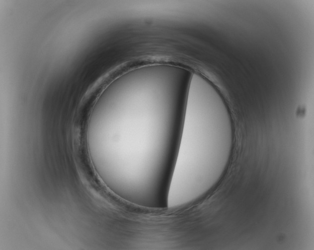 X0000114690722200910211053