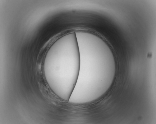 X0000114690723200910211053