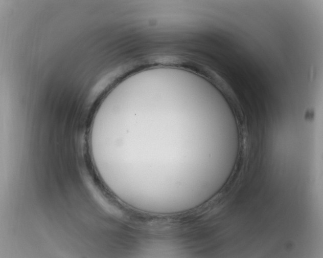 X0000114690725200910211053