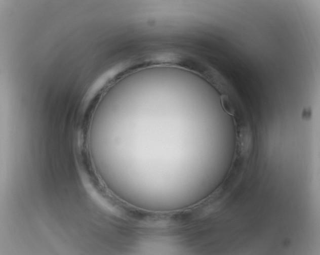 X0000114690726200910211053