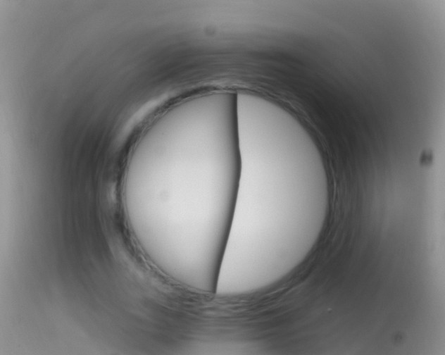 X0000114690727200910211053