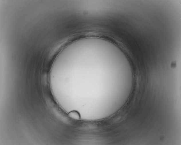 X0000114690729200910211053