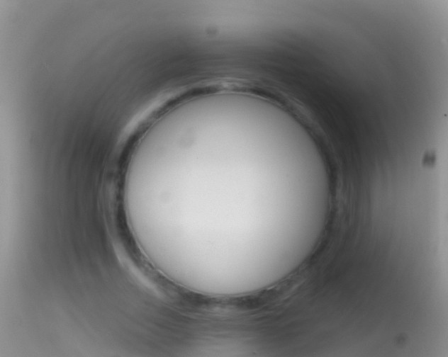 X0000114690730200910211053
