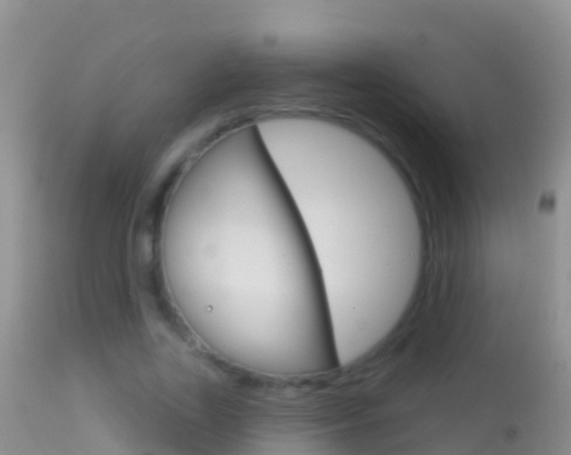 X0000114690731200910211054