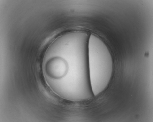 X0000114690734200910211054