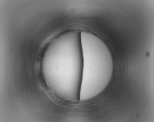 X0000114690735200910211054